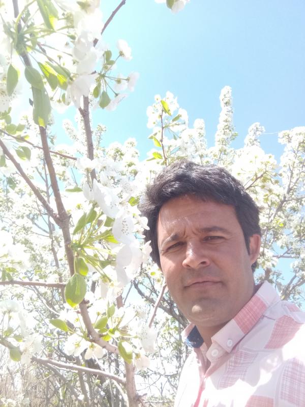 تصویر پروفایل حامد