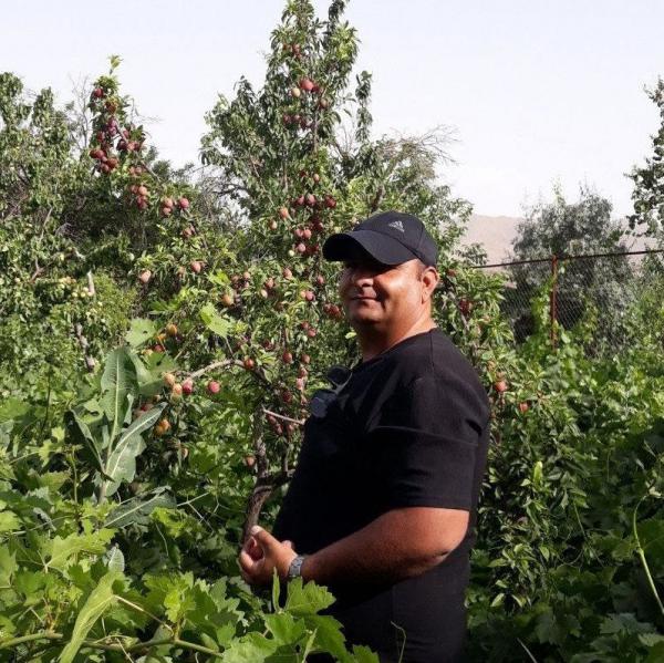 تصویر پروفایل امیر پاشا