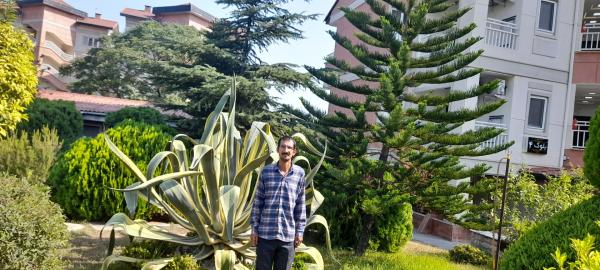 تصویر پروفایل بهروز