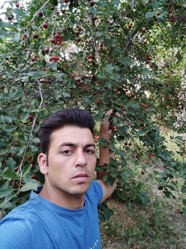 تصویر پروفایل محمد