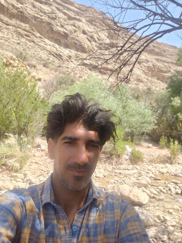 تصویر پروفایل علیرضا
