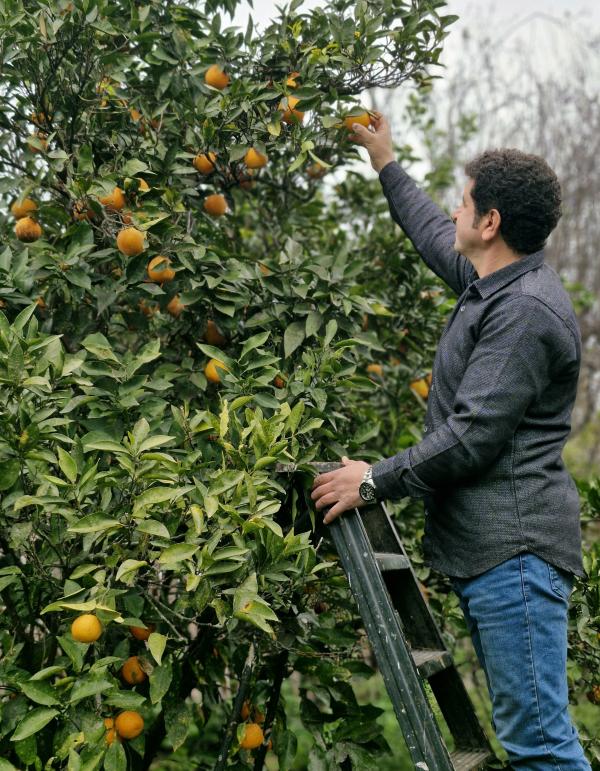 سایت همسریابی آغاز نو پروفایل 9999663408