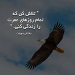 لینک ساییت همسریابی