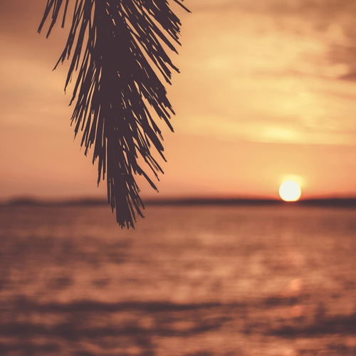 سایت همسریابی دلربا